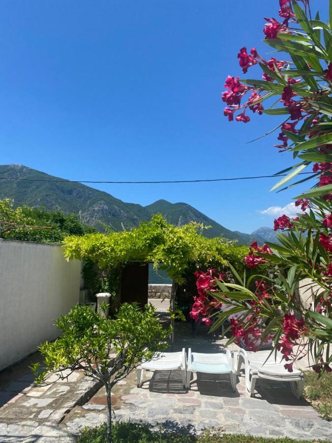 Mansarda Apartment Kotor Zewnętrze zdjęcie